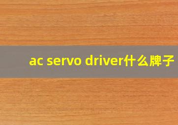 ac servo driver什么牌子